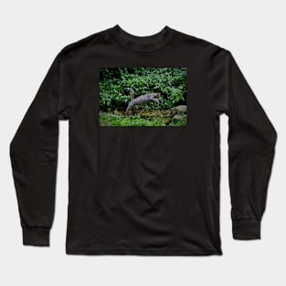 Wild cat jump Long Sleeve T-Shirt